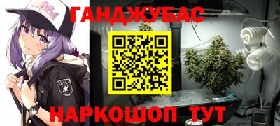 крисы Краснознаменск