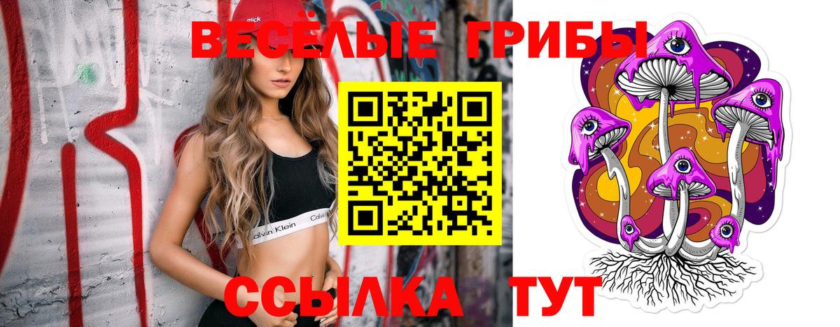 Галлюциногенные грибы MAGIC MUSHROOMS  Вход с VPN  Камышлов 